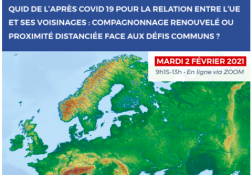 Conférence en ligne : l'après Covid-19 dans la politique de voisinage de l'UE